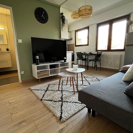 Cosy Rent Strasbourg Appartement Wifi Terrasse Kültér fotó